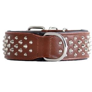 Customizable Leather & Cloth Dog Collar – Unique Artwork, Private Label Ready